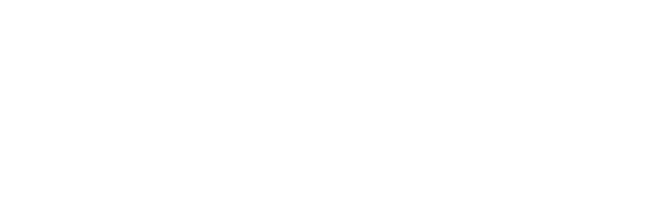 TDAM LLC